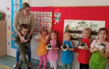 prezentacja posadzonych kwiat&oacute;w