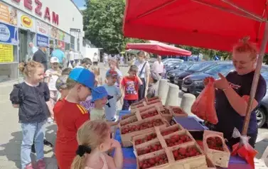 kupujemy truskawki