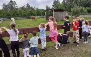 Dzieci oglądają zwierzęta