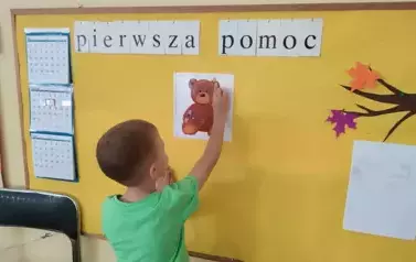 leczymy misa