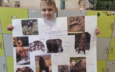 olek i plakat o niedzwiedziach