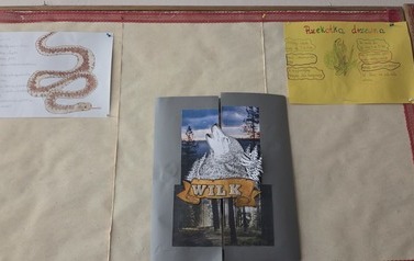 Wystawa plakat&oacute;w na korytarzu szkolnym