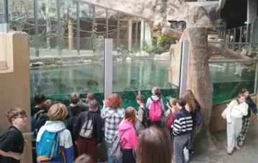 Grupa młodzieży w Orientarium