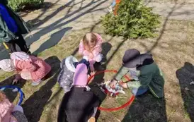 Budowanie gniazda