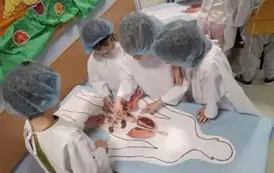 1a układa narządy człowieka na modelu