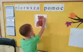 leczymy misa