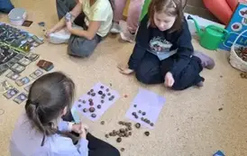 gra planszowa z kasztanami