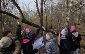 Spacer w poszukiwaniu oznak przedwiośnia