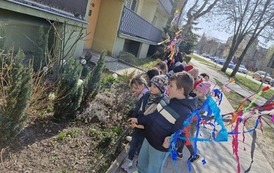 W ogr&oacute;dku przed blokiem dzieci dostrzegły krokusy