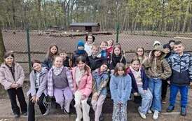 2a w Mini Zoo