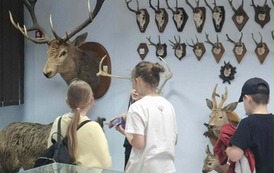 Uczniowie zwiedzają Muzeum Leśnictwa