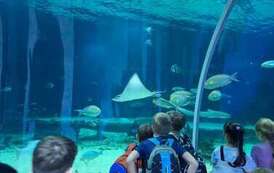 Uczniowie klas 3A i 3B w podwodnym tunelu w Zoo Orientarium w %C5%81odzi