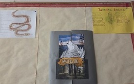 Wystawa plakat&oacute;w na korytarzu szkolnym