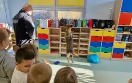 pies policyjny szuka ukrytego przedmiotu