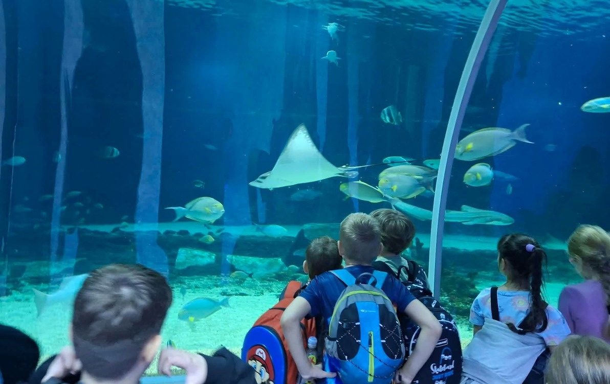 Uczniowie klas 3A i 3B w podwodnym tunelu w Zoo Orientarium w %C5%81odzi