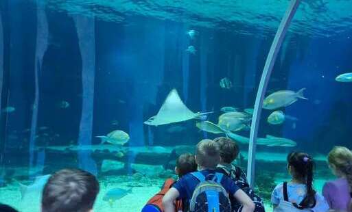 Uczniowie klas 3A i 3B w podwodnym tunelu w Zoo Orientarium w %C5%81odzi